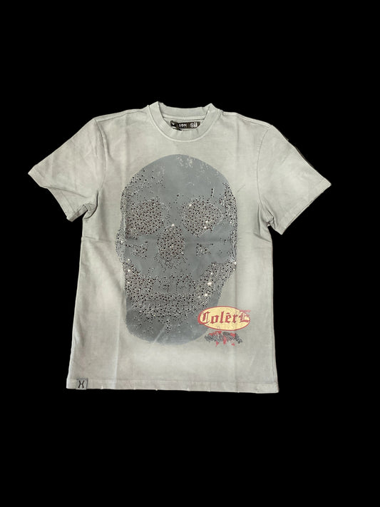 Hudson Skull Grey TShirt
