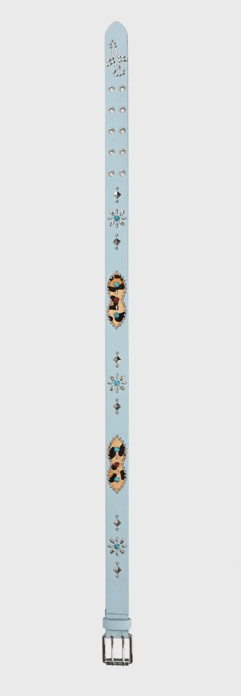 Blue Passport Belt
