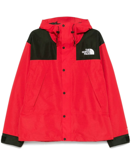 The North face mountain jacket