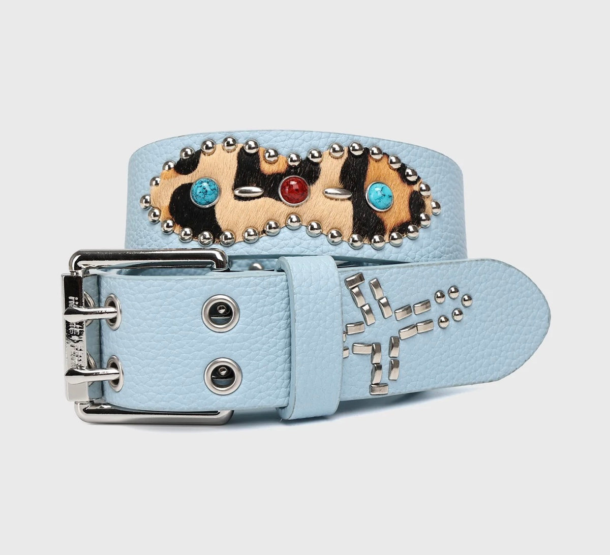Blue Passport Belt