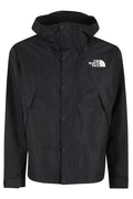 The north face mountain jacket